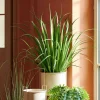 Plantes Artificielles^CASA ALLIUM Herbe Ornementale Vert