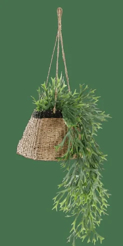 Porte-Plantes À Suspendre^CASA BAKU Pot à Suspendre Noir, Naturel