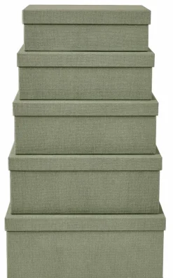 Paniers Tiroirs^CASA BIGSO Organisateur Tiroir 5 Pièces Menthe