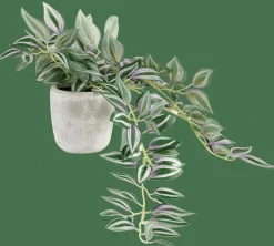 Plantes Artificielles^CASA CALATHEA Plante Suspendue Gris, Vert, Mauve