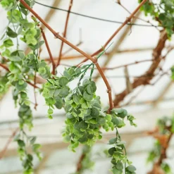 Fleurs Artificielles^CASA EVA Tige De Fleurs Multicolore