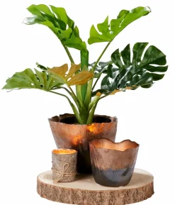 Bougies^CASA FINA Bougies Set De 6 Vert