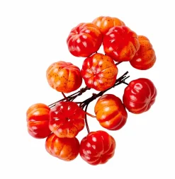 Branches Artificielles^CASA FOAM Branches D'églantier Rouge