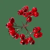 Branches Artificielles^CASA FOAM Déco églantier Rouge