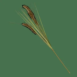 Branches Artificielles^CASA GRASS Hampe De Roseau Vert