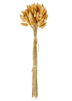 Vases|Automne^CASA ODON Vase Brun