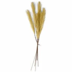 Branches Artificielles^CASA PLUME Plumes Décoratives Brun Clair