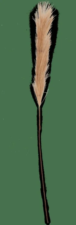 Branches Artificielles^CASA PLUME Plumes Décoratives Brun