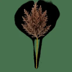 Branches Artificielles^CASA PLUME Tige Panache Brun