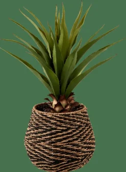 Plantes Artificielles^CASA VERA Aloe Vera Vert