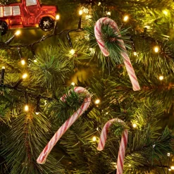 Alimentation^CASA X-MAS CANDY CANE Sucre D'orge Set De 12 144g Multicolore